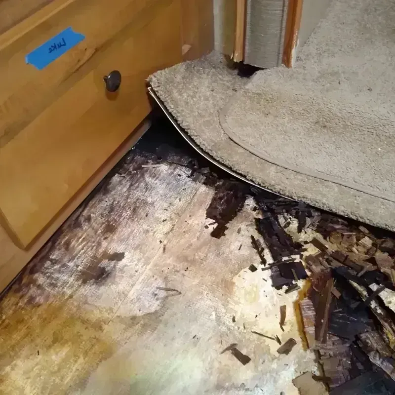 Wood Floor Water Damage in Springfield, KY